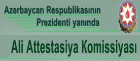 Partner 3